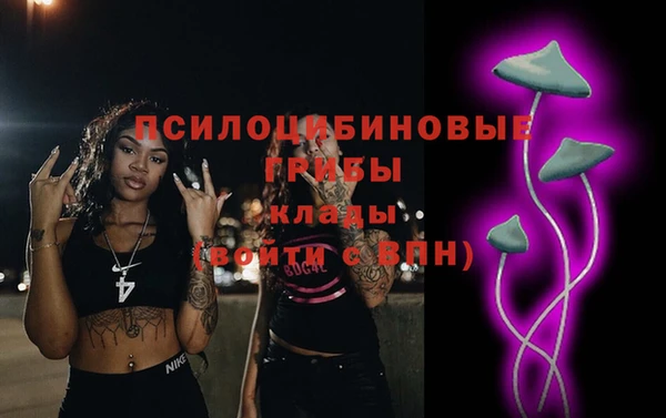 ПСИЛОЦИБИНОВЫЕ ГРИБЫ Корсаков