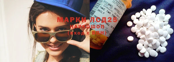 ПСИЛОЦИБИНОВЫЕ ГРИБЫ Корсаков