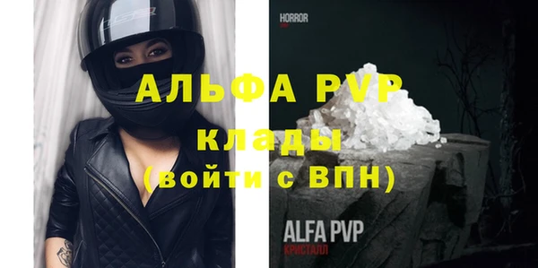 ПСИЛОЦИБИНОВЫЕ ГРИБЫ Корсаков