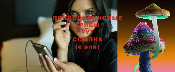 ПСИЛОЦИБИНОВЫЕ ГРИБЫ Корсаков