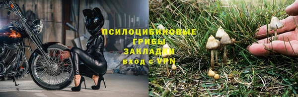 ПСИЛОЦИБИНОВЫЕ ГРИБЫ Корсаков