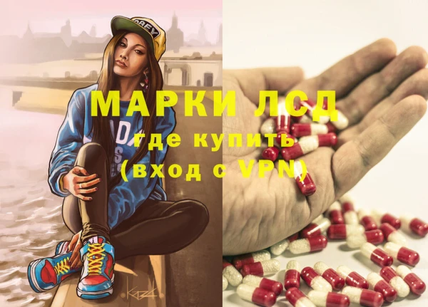 ПСИЛОЦИБИНОВЫЕ ГРИБЫ Корсаков