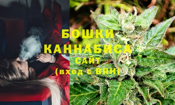 ПСИЛОЦИБИНОВЫЕ ГРИБЫ Корсаков