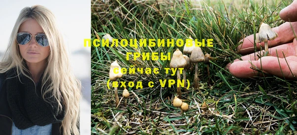 ПСИЛОЦИБИНОВЫЕ ГРИБЫ Корсаков