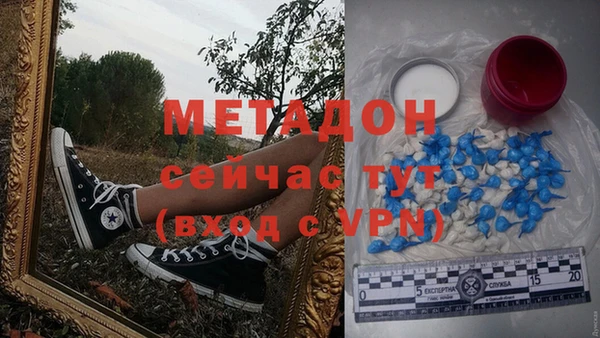 ПСИЛОЦИБИНОВЫЕ ГРИБЫ Корсаков